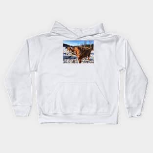 Scottish Highland Cattle Bulls 1939 Kids Hoodie